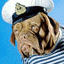 WaRDoG